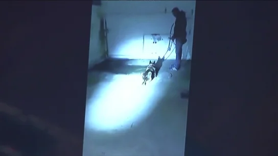 El momento en el que hallaron el cadáver de Diana Quer Sale a la luz el vídeo del momento en el que hallaron el cadáver de Diana Quer