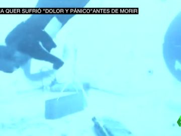 La recreación del hundimiento del cadáver de Diana Quer La recreación del hundimiento del cadáver de Diana Quer