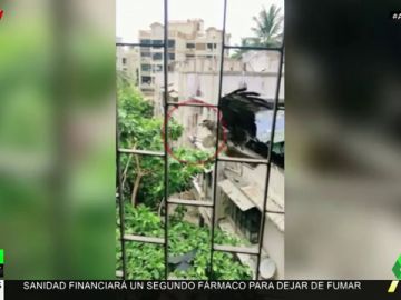¿Por qué nunca se debe alimentar a animales salvajes? ¿Por qué nunca se debe alimentar a animales salvajes?