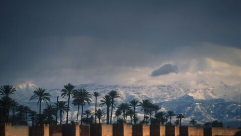 Palmeral en Marruecos