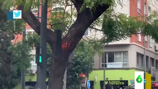 ¿Es este el semáforo peor colocado de la historia? ¿Es este el semáforo peor colocado de la historia?