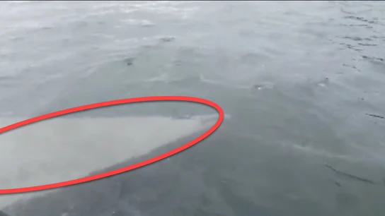 Las primeras imágenes del narcosubmarino interceptado en la costa gallega con 3.000 kilos de cocaína Las primeras imágenes del narcosubmarino interceptado en la costa gallega con 3.000 kilos de cocaína