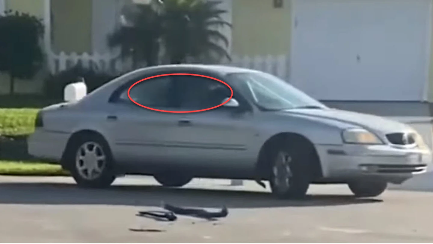¡Peligro al volante! El único perro del mundo capaz de conducir una hora ¡Peligro al volante! El único perro del mundo capaz de conducir una hora