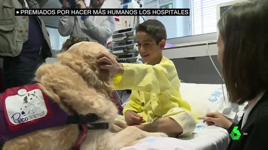 Hospitales humanizados Hospitales humanizados
