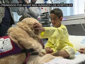 Hospitales humanizados Hospitales humanizados
