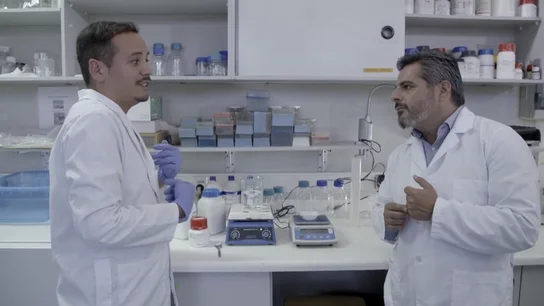 Los productores incrementan el uso de edulcorantes para evitar los sellos: estos son sus efectos Los productores incrementan el uso de edulcorantes para evitar los sellos: estos son sus efectos