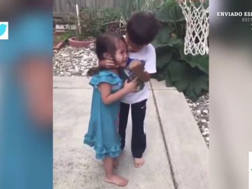 El vídeo viral que enamora al mundo: así es la tierna reacción de un niño al consolar a su hermana tras ser golpeada por un balón El vídeo viral que enamora al mundo: así es la tierna reacción de un niño al consolar a su hermana tras ser golpeada por un balón