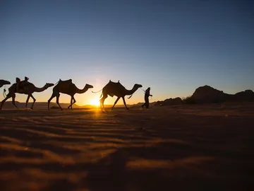 Wadi Rum Wadi Rum