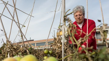 Una mujer retira las malas hierbas en la huerta de 'Trabensol' 