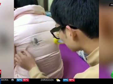 cinta cinta