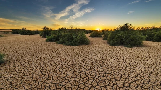 El Parlamento Europeo declara la emergencia climatica global El Parlamento Europeo declara la emergencia climatica global