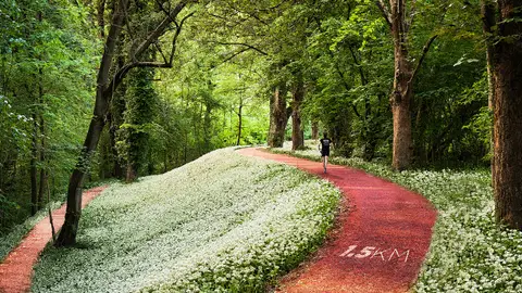 Sendero Sendero