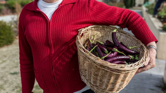 Es necesario bajar el consumo de carne en favor de frutas y verduras de producción sostenible Emergencia climática