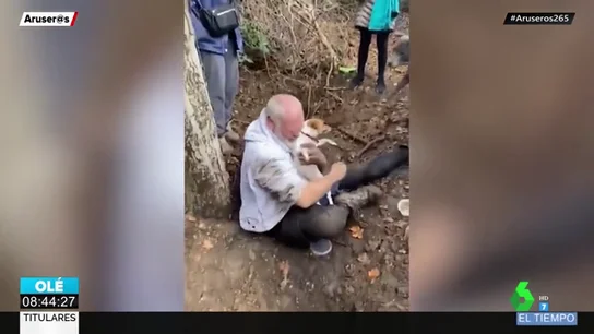 perro perro