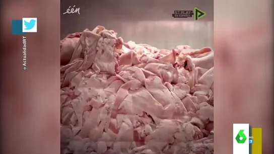 Esto es lo que llevan realmente las gominolas: sí, están hechas con grasa de cerdo Esto es lo que llevan realmente las gominolas: sí, están hechas con grasa de cerdo