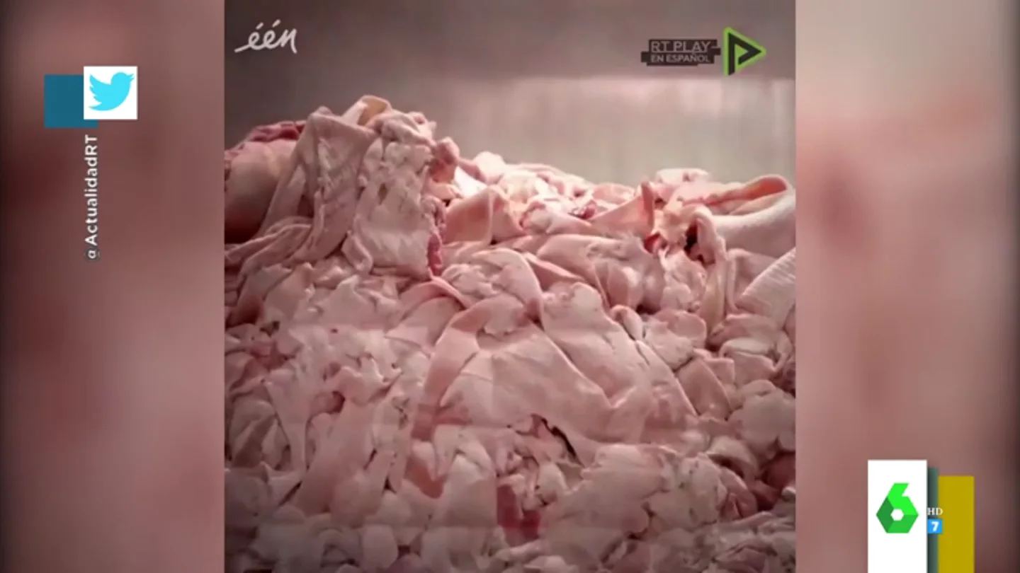 Esto es lo que llevan realmente las gominolas: sí, están hechas con grasa de cerdo Esto es lo que llevan realmente las gominolas: sí, están hechas con grasa de cerdo