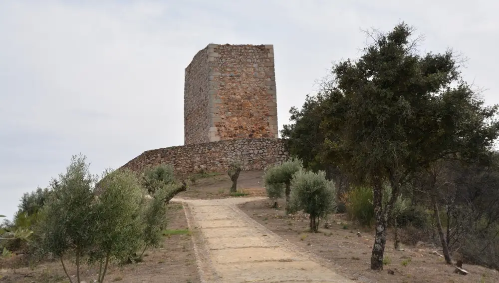 Castillo del Rey Wamba