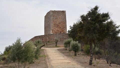 Castillo del Rey Wamba