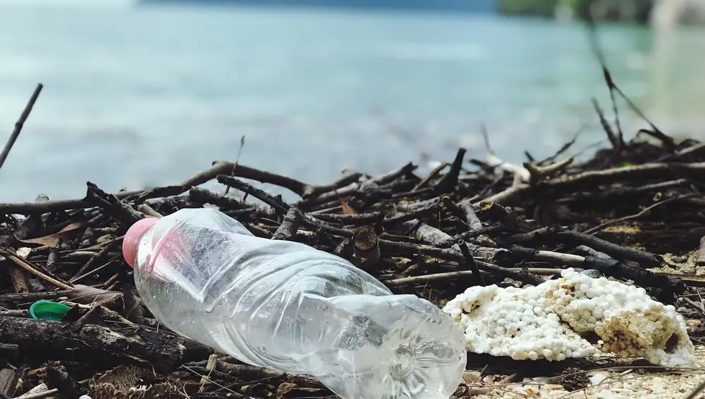 Un alto porcentaje de los plásticos que desechamos acaba en vertederos o en el medio ambiente. 