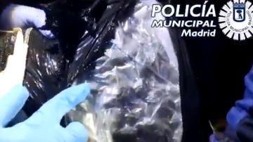 Incautación de droga por la Policía Local de Madrid