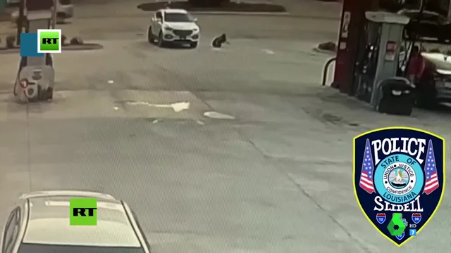 PERRO PERRO