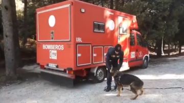 Imagen de archivo de un bombero con un perro