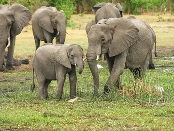 Sudáfrica Sudáfrica