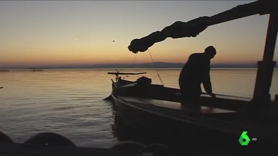La albufera se muere lentamente La albufera se muere lentamente