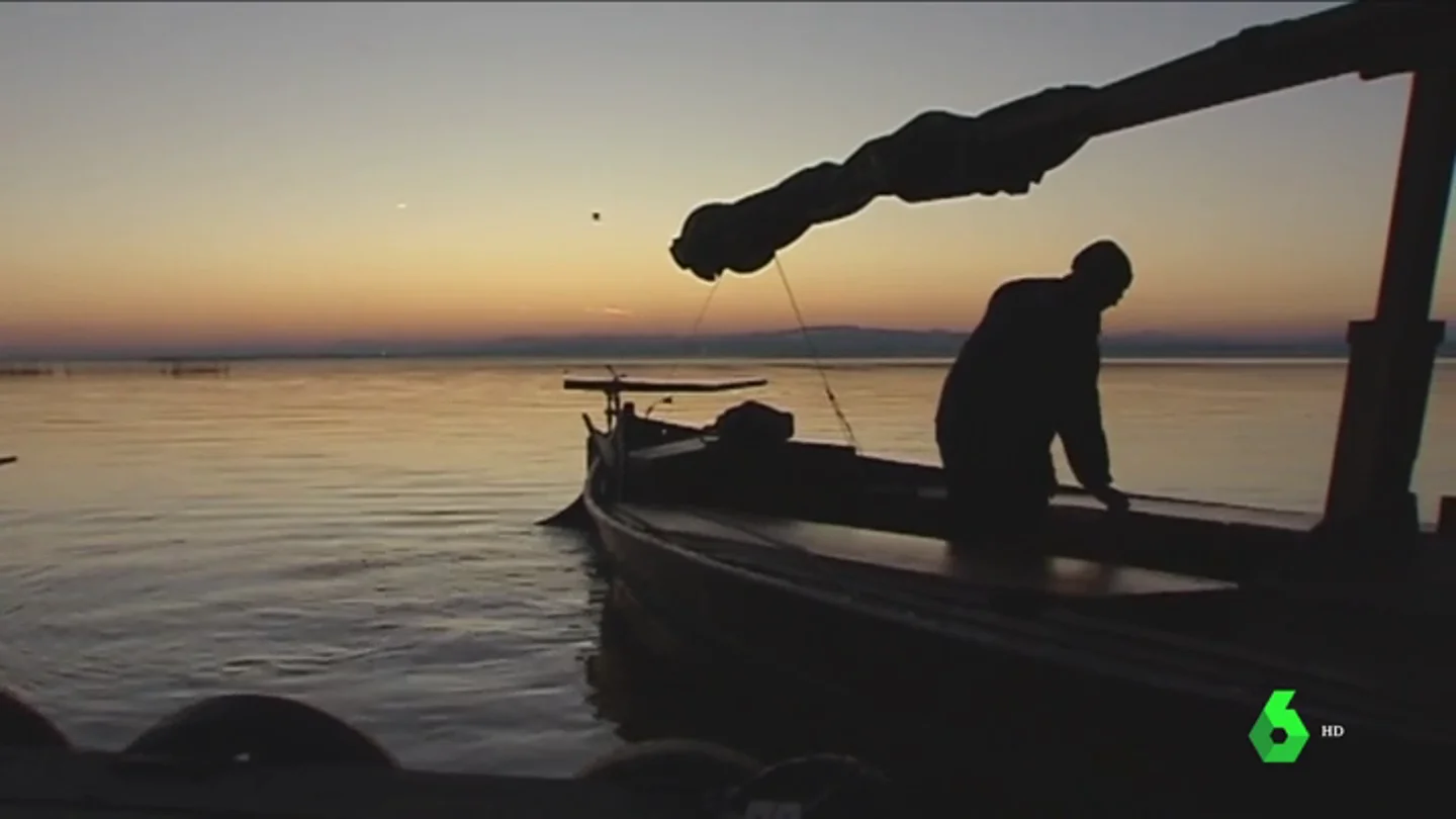 La albufera se muere lentamente La albufera se muere lentamente