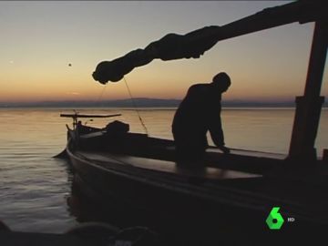 La albufera se muere lentamente La albufera se muere lentamente