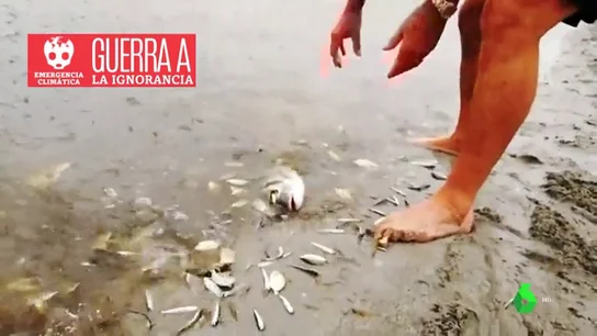 ignorancia ignorancia