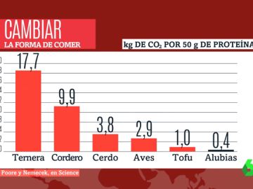 Cambiar la alimentación, una medida clave para luchar contra el cambio climático Cambiar la alimentación, una medida clave para luchar contra el cambio climático