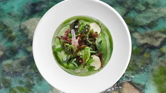 Un plato de los hermanos Roca para el menú de la Cumbre del Clima