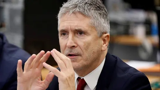 El ministro del Interior en funciones, Fernando Grande-Marlaska El ministro del Interior en funciones, Fernando Grande-Marlaska