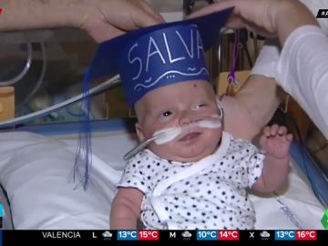 salvador salvador