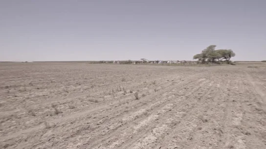 Enviado Especial sigue el rastro de la soja hasta una zona devastada por las plantaciones de un empresario español Enviado Especial sigue el rastro de la soja hasta una zona devastada por las plantaciones de un empresario español