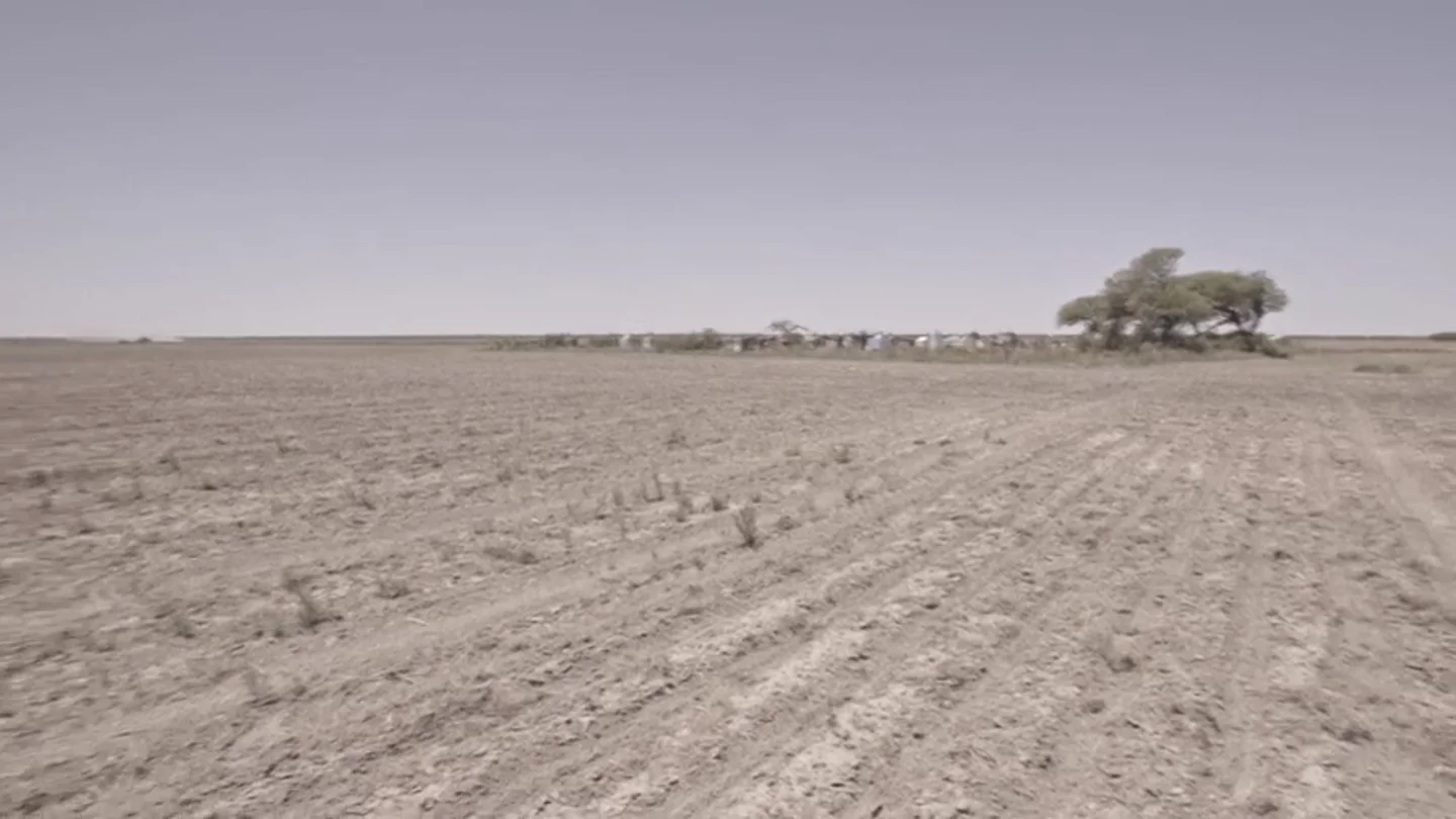 Enviado Especial sigue el rastro de la soja hasta una zona devastada por las plantaciones de un empresario español Enviado Especial sigue el rastro de la soja hasta una zona devastada por las plantaciones de un empresario español