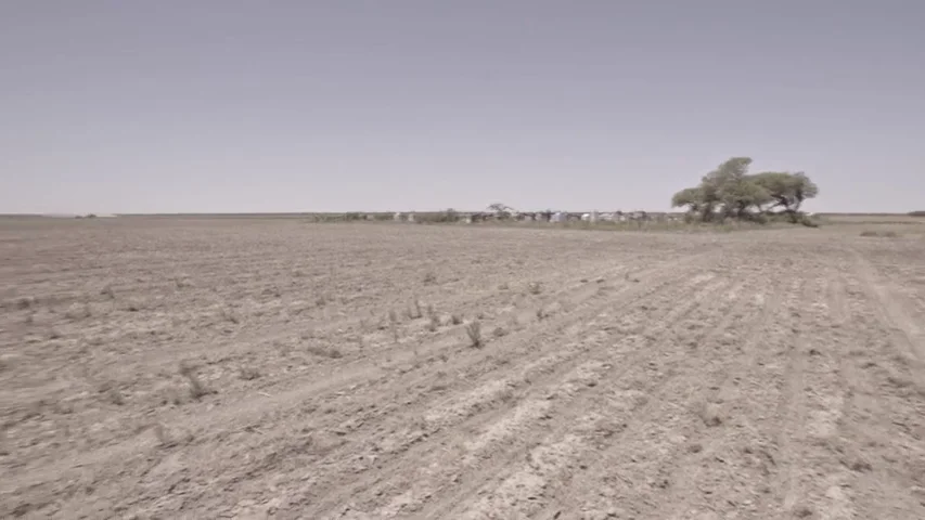 Enviado Especial sigue el rastro de la soja hasta una zona devastada por las plantaciones de un empresario español