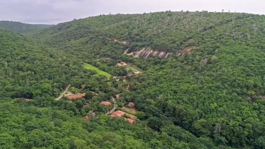 Enviado Especial comprueba en Brasil que el milagro de la reforestación es posible Enviado Especial comprueba en Brasil que el milagro de la reforestación es posible