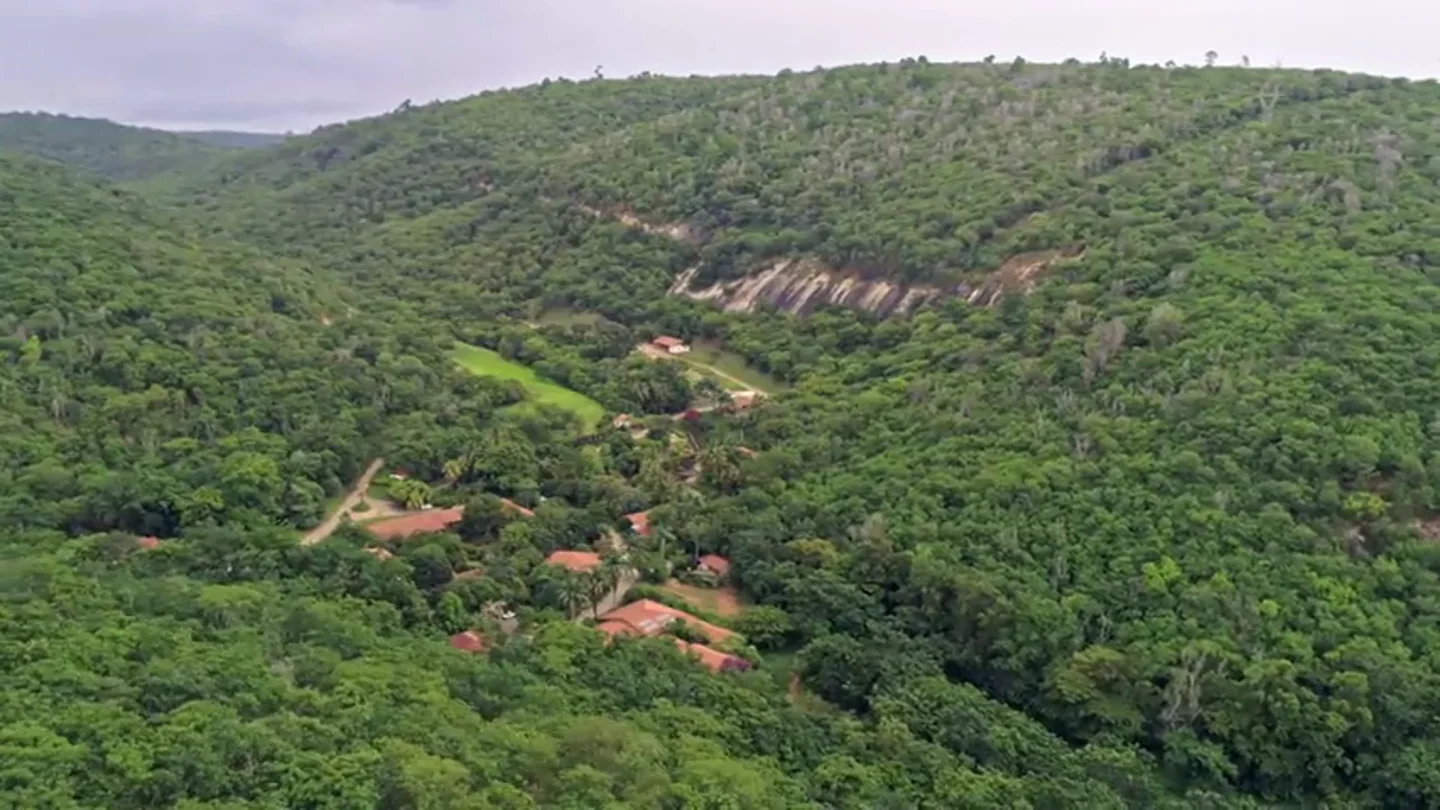 Enviado Especial comprueba en Brasil que el milagro de la reforestación es posible Enviado Especial comprueba en Brasil que el milagro de la reforestación es posible