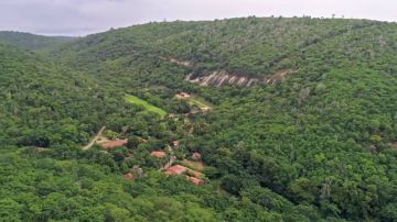 Enviado Especial comprueba en Brasil que el milagro de la reforestación es posible