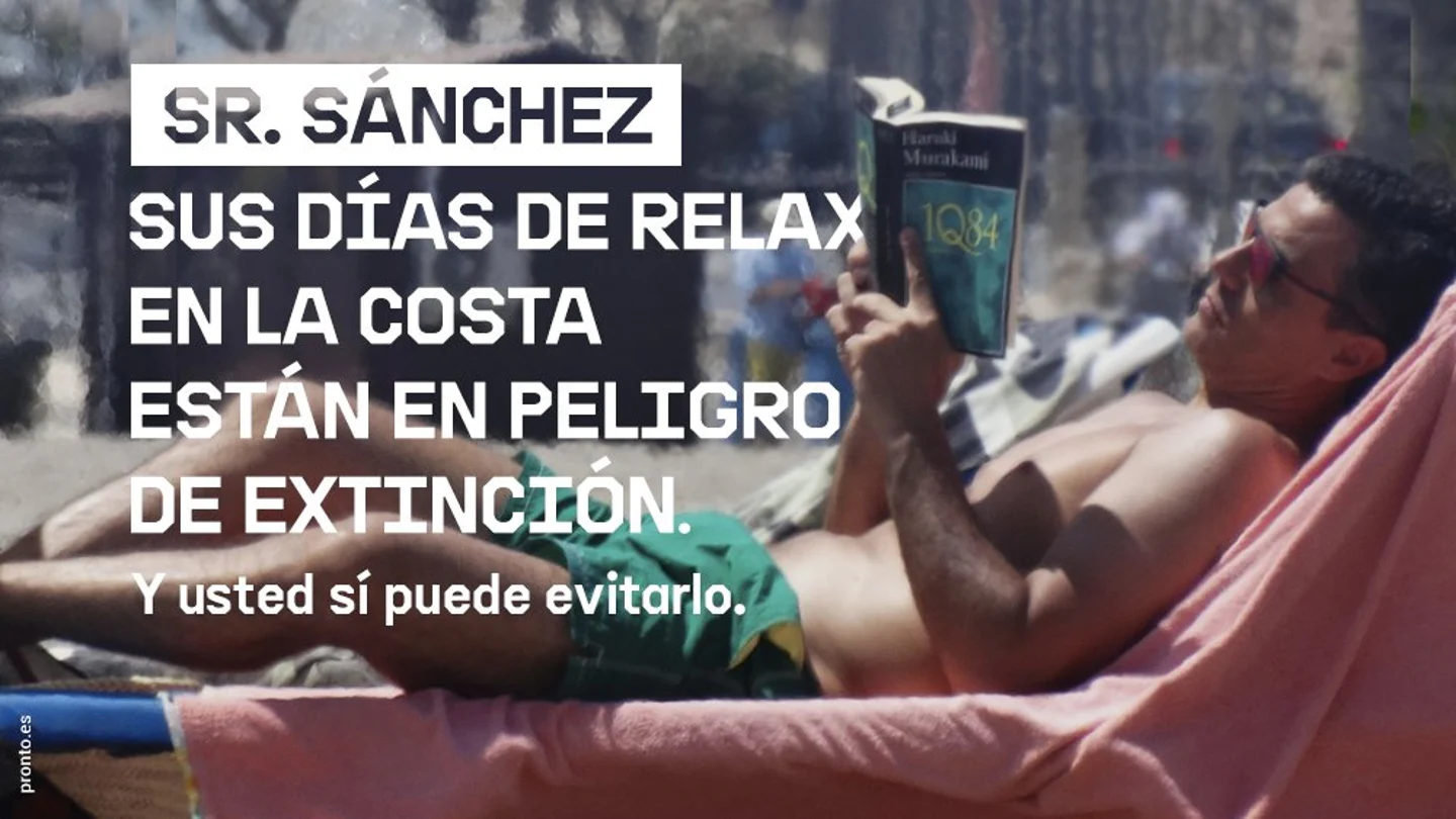 Greenpeace alerta a los políticos de que su hobbies también están "en peligro de extinción" Greenpeace alerta a los políticos de que su hobbies también están "en peligro de extinción"