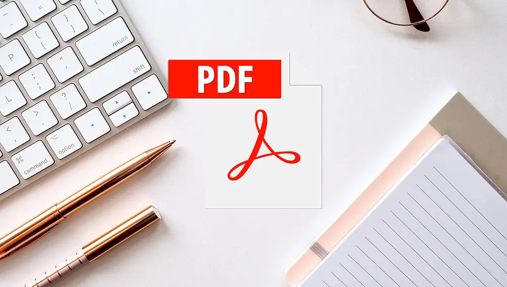 PDF PDF