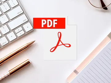 PDF PDF