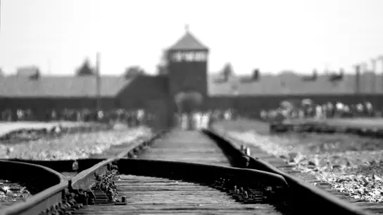 auschwitz auschwitz