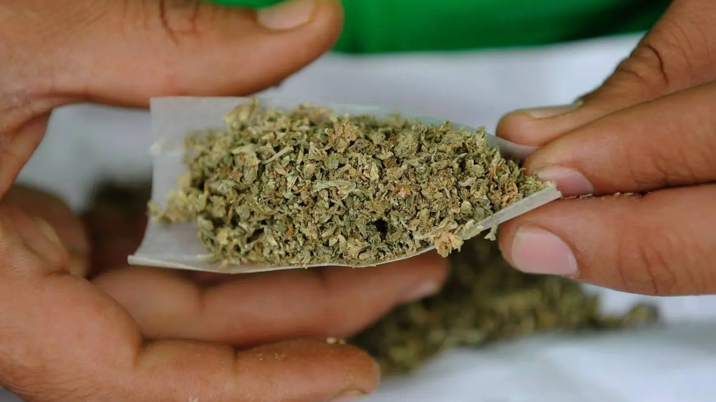Cannabis en papel de fumar Cannabis en papel de fumar