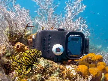 La funda en plena acción La funda en plena acción