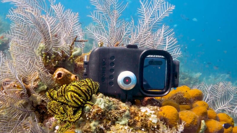 Aprovecha todo el potencial de tu smartphone mientras buceas con esta original funda
