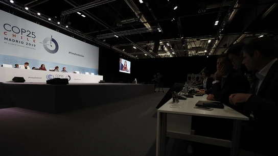 La ministra de Medio Ambiente de Chile y presidenta de la COP25, Carolina Schmidt La ministra de Medio Ambiente de Chile y presidenta de la COP25, Carolina Schmidt