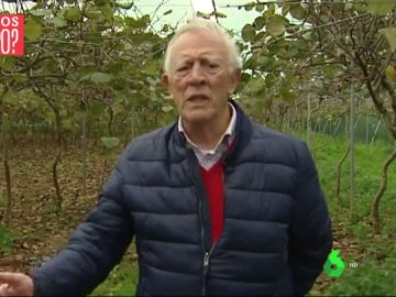 Vicente Borrás, agricultor ecológico Vicente Borrás, agricultor ecológico